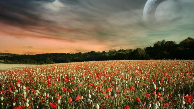 做个web服务器，gin框架和go-zero怎么选？